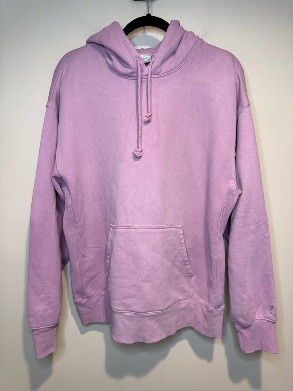 Aritizia TNA Cozy Fleece boyfriend hoodie Sweatshirt